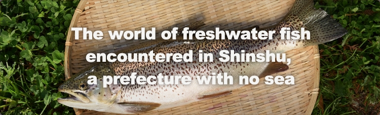 The world of freshwater fish encountered in Shinsgu, a prefecture with no sea