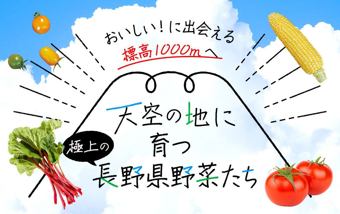 おいしい に出会える標高1000mへ 天空の地に育つ極上の野菜たち 長野県の旬な情報を随時発信 Nagano Topics しあわせ商談サイトnagano
