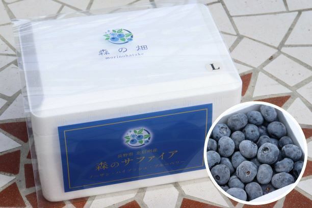「森のサファイア」ブルーベリー生果実　スチロールパック500ｇ（Lサイズ）