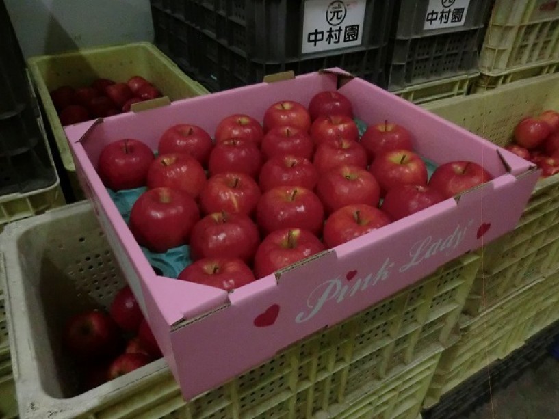 りんご ピンクレディーtm オーストラリア原産のピンクレディーりんごを日本で生産ライセンスを取得して栽培しています 日本には44人の生産者しかいません しあわせ商談サイトnagano